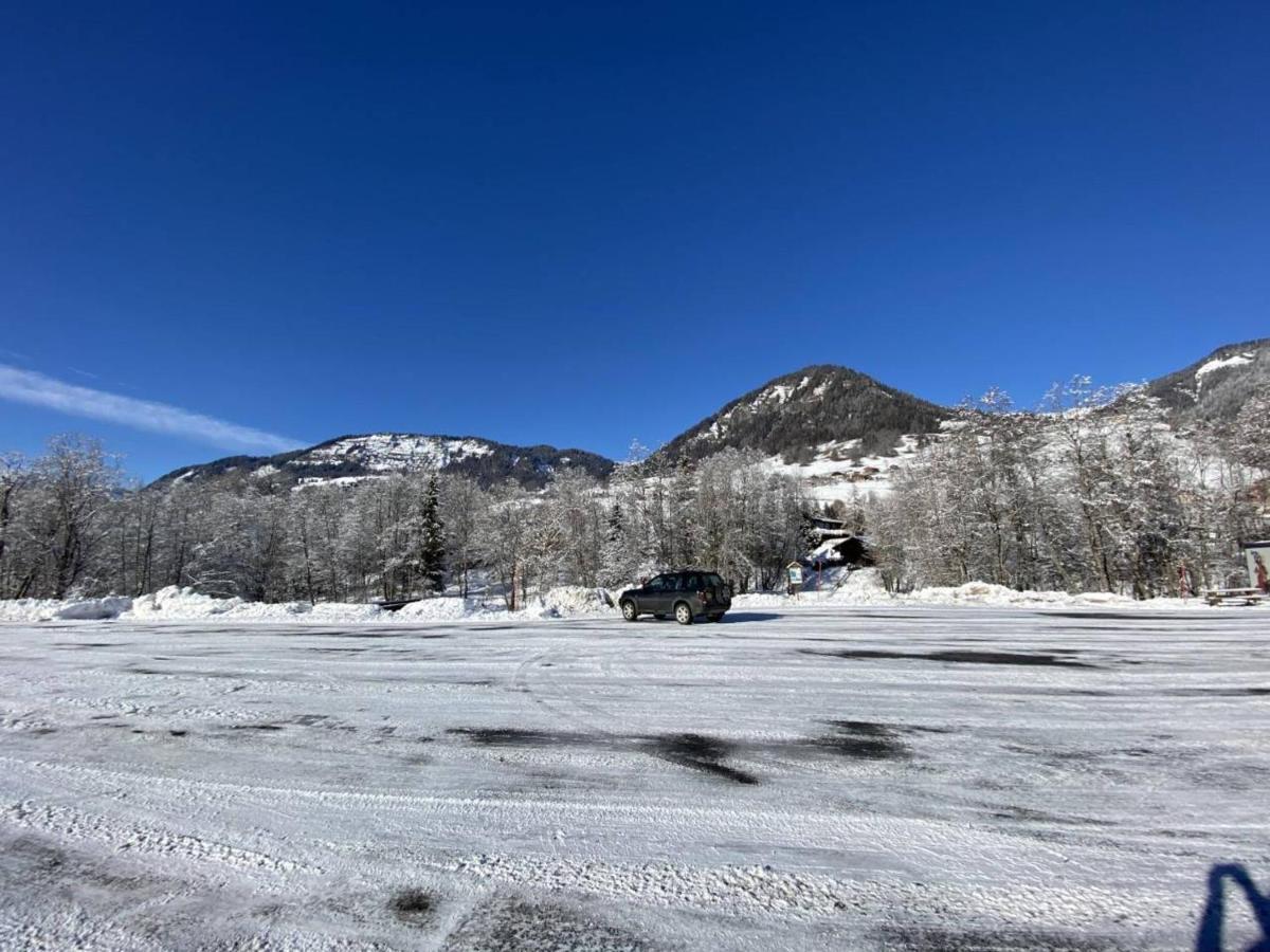 Studio Cabine A Praz-Sur-Arly - 4 Pers, Parking, Proche Centre Et Pistes - Fr-1-603-32 Exterior photo